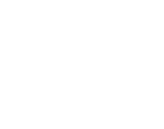 Diament Forbes